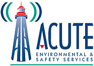 Acute environmental & safety services inc.
