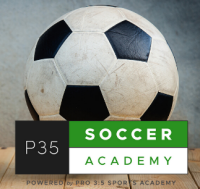 Pro 3:5 sports academy