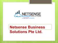 Netsense business solutions pte ltd