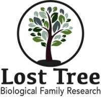 Lost tree management, llc