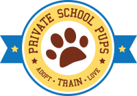 Private school pups