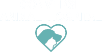 Converse animal hospital