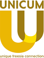Unicum freesia