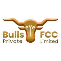 Bulls eye financial consultants