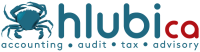 Hlubi chartered accountants