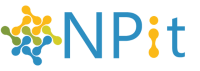 Npit consulting & service gmbh
