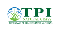American turf grass corporation